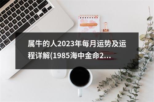 属牛的人2023年每月运势及运程详解(1985海中金命2023年运势)