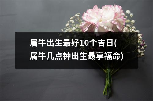 属牛出生好10个吉日(属牛几点钟出生享福命)