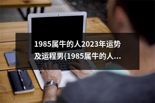 1985属牛的人2023年运势及运程男(1985属牛的人2023年运势及运程女)