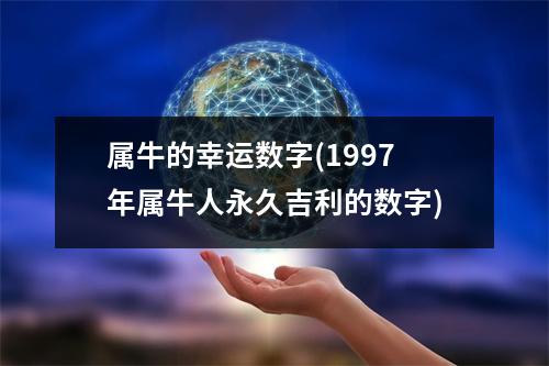 属牛的幸运数字(1997年属牛人永久吉利的数字)