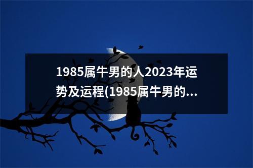 1985属牛男的人2023年运势及运程(1985属牛男的人2023年运势及运程2023属牛走哪一方)