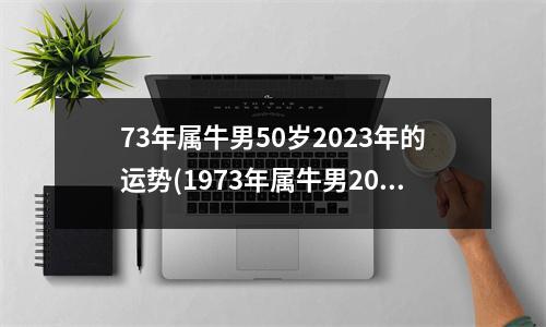 73年属牛男50岁2023年的运势(1973年属牛男2023年运势如何)