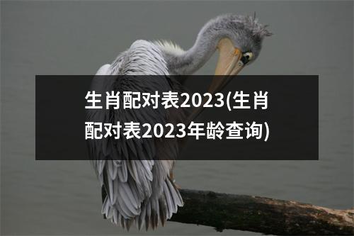 生肖配对表2023(生肖配对表2023年龄查询)