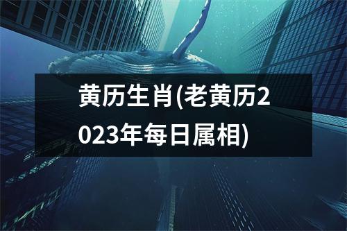 黄历生肖(老黄历2023年每日属相)