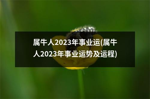 属牛人2023年事业运(属牛人2023年事业运势及运程)