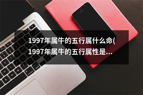 1997年属牛的五行属什么命(1997年属牛的五行属性是什么)