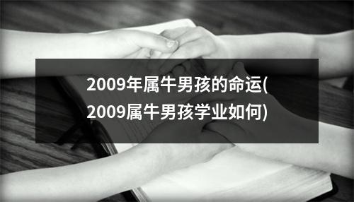 2009年属牛男孩的命运(2009属牛男孩学业如何)