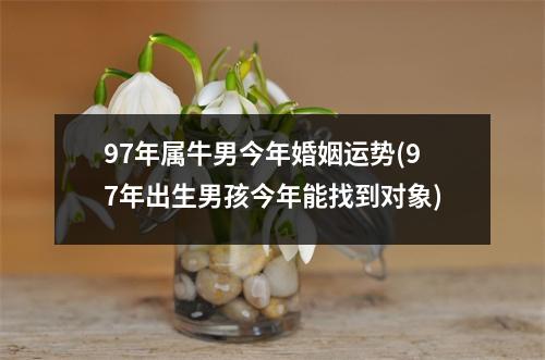 97年属牛男今年婚姻运势(97年出生男孩今年能找到对象)