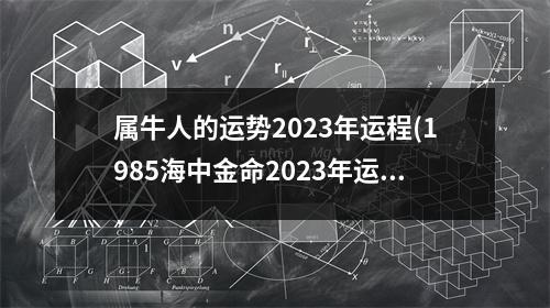 属牛人的运势2023年运程(1985海中金命2023年运势)