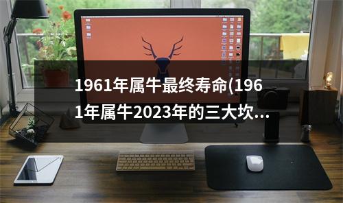 1961年属牛终寿命(1961年属牛2023年的三大坎)