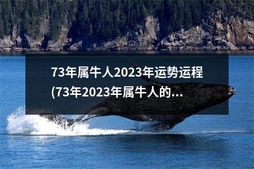 73年属牛人2023年运势运程(73年2023年属牛人的全年运势)