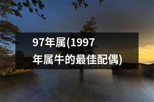 97年属(1997年属牛的佳配偶)