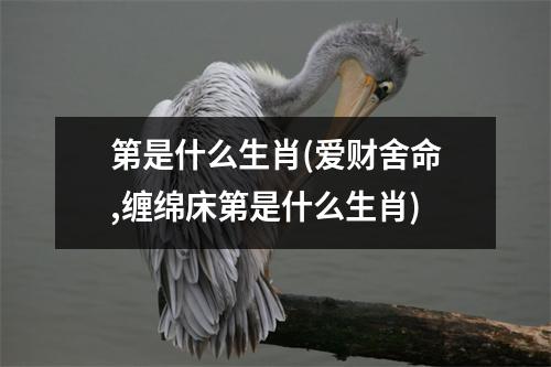 第是什么生肖(爱财舍命,缠绵床第是什么生肖)