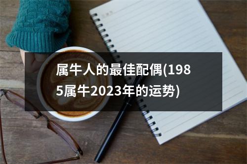 属牛人的佳配偶(1985属牛2023年的运势)