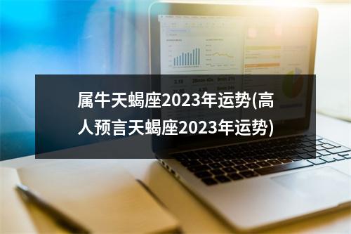 属牛天蝎座2023年运势(高人预言天蝎座2023年运势)