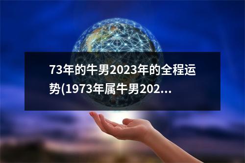 73年的牛男2023年的全程运势(1973年属牛男2023年运势如何)