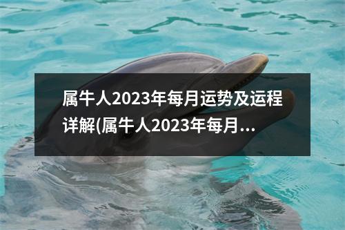 属牛人2023年每月运势及运程详解(属牛人2023年每月运势及运程详解第一星座网)