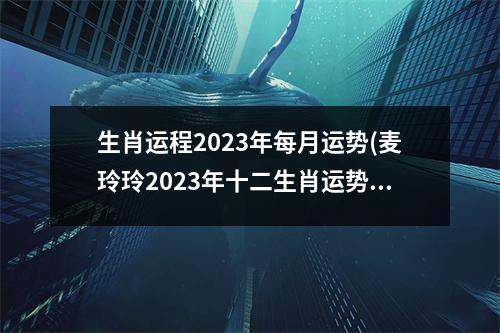 生肖运程2023年每月运势(麦玲玲2023年十二生肖运势详解)