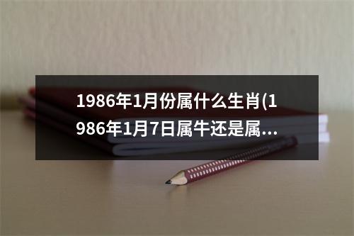 1986年1月份属什么生肖(1986年1月7日属牛还是属虎)