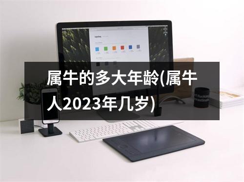 属牛的多大年龄(属牛人2023年几岁)