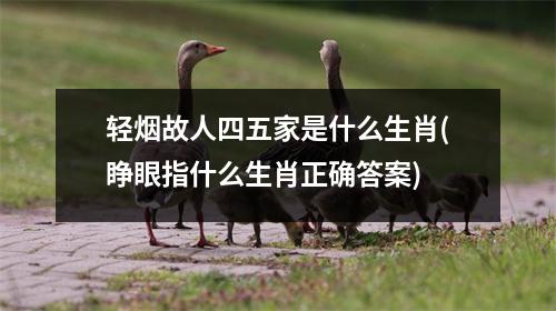 轻烟故人四五家是什么生肖(睁眼指什么生肖正确答案)