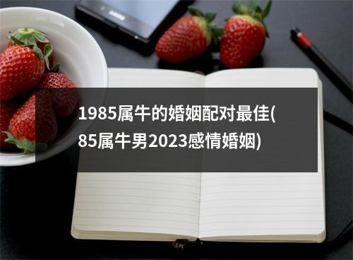 1985属牛的婚姻配对佳(85属牛男2023感情婚姻)