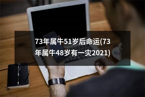 73年属牛51岁后命运(73年属牛48岁有一灾2021)