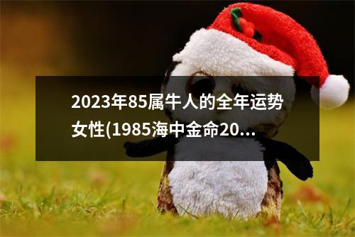 2023年85属牛人的全年运势女性(1985海中金命2023年运势)