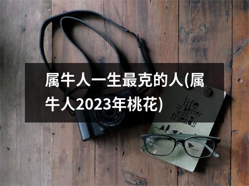 属牛人一生克的人(属牛人2023年桃花)