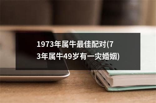 1973年属牛佳配对(73年属牛49岁有一灾婚姻)