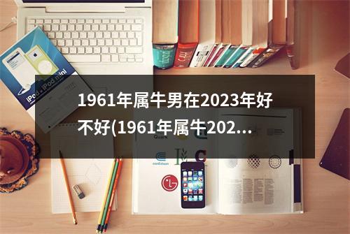 1961年属牛男在2023年好不好(1961年属牛2023年的三大坎)