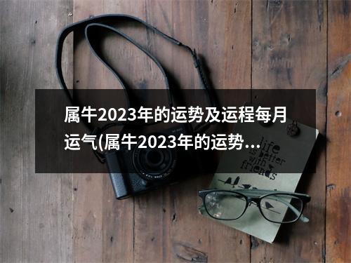 属牛2023年的运势及运程每月运气(属牛2023年的运势及运程每月运气仆易居)