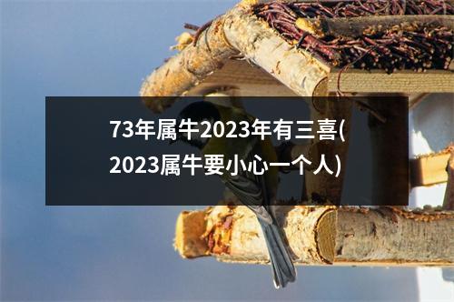 73年属牛2023年有三喜(2023属牛要小心一个人)