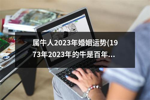 属牛人2023年婚姻运势(1973年2023年的牛是百年难遇)