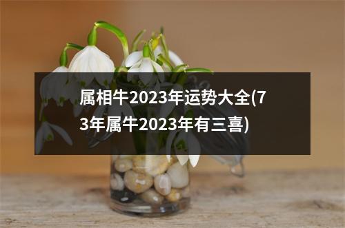 属相牛2023年运势大全(73年属牛2023年有三喜)