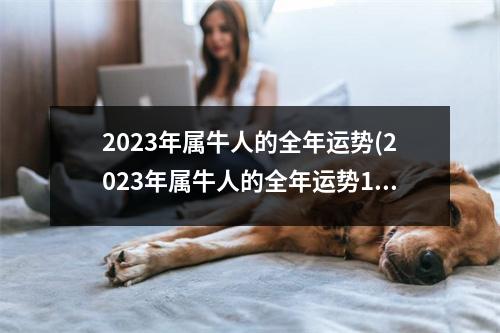 2023年属牛人的全年运势(2023年属牛人的全年运势1973出生女)