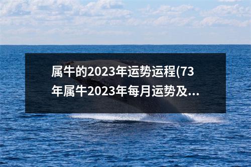 属牛的2023年运势运程(73年属牛2023年每月运势及运程)