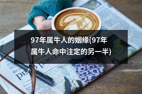 97年属牛人的姻缘(97年属牛人命中注定的另一半)