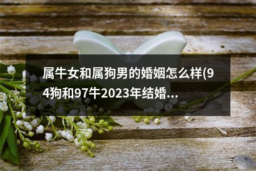 属牛女和属狗男的婚姻怎么样(94狗和97牛2023年结婚好吗)