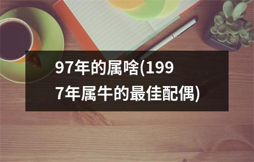 97年的属啥(1997年属牛的佳配偶)