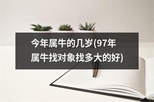 今年属牛的几岁(97年属牛找对象找多大的好)