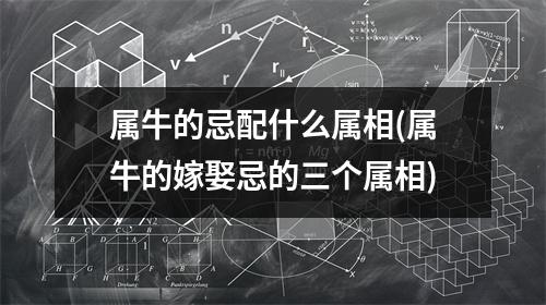 属牛的忌配什么属相(属牛的嫁娶忌的三个属相)