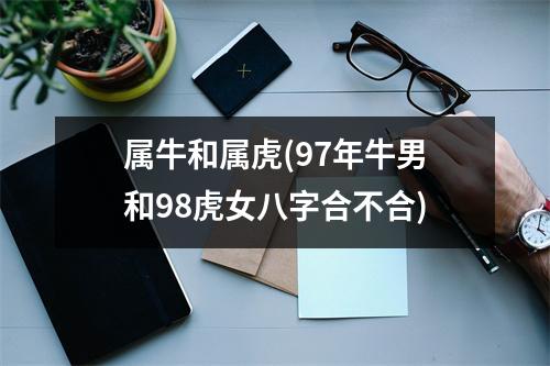 属牛和属虎(97年牛男和98虎女八字合不合)