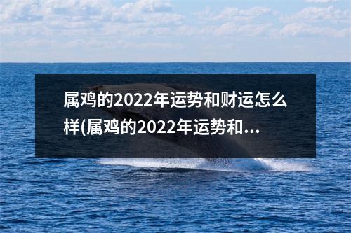 属鸡的2022年运势和财运怎么样(属鸡的2022年运势和财运怎么样属鸡男和属牛女配吗)