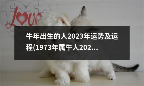 牛年出生的人2023年运势及运程(1973年属牛人2023年的运势)