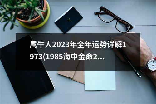 属牛人2023年全年运势详解1973(1985海中金命2023年运势)