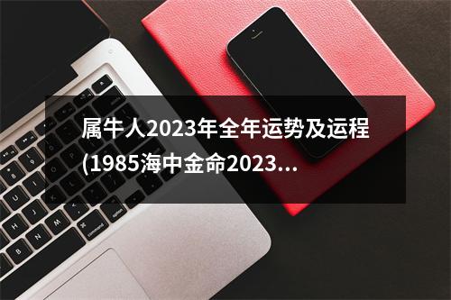 属牛人2023年全年运势及运程(1985海中金命2023年运势)