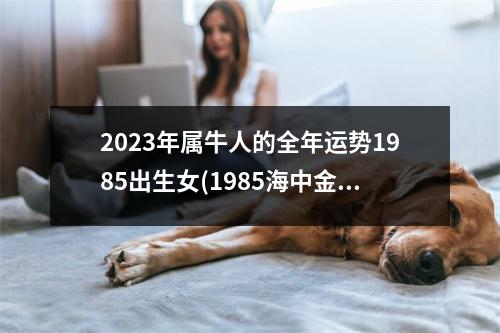 2023年属牛人的全年运势1985出生女(1985海中金命2023年运势)