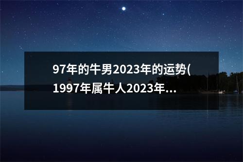 97年的牛男2023年的运势(1997年属牛人2023年运势运程)