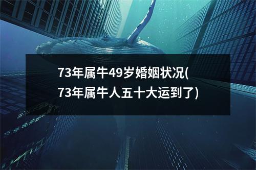 73年属牛49岁婚姻状况(73年属牛人五十大运到了)